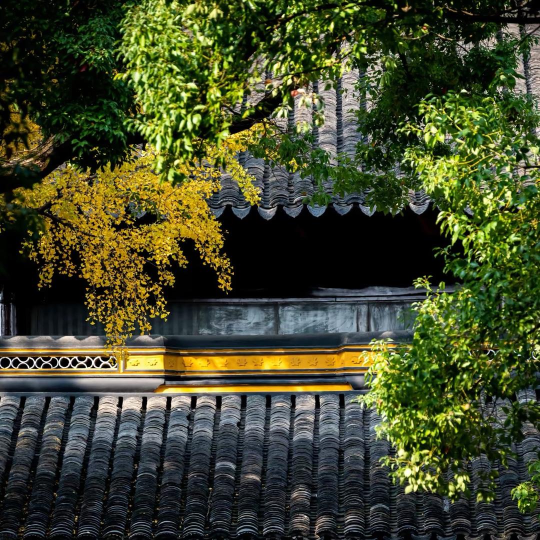 潭璇商贸-小璐直播号