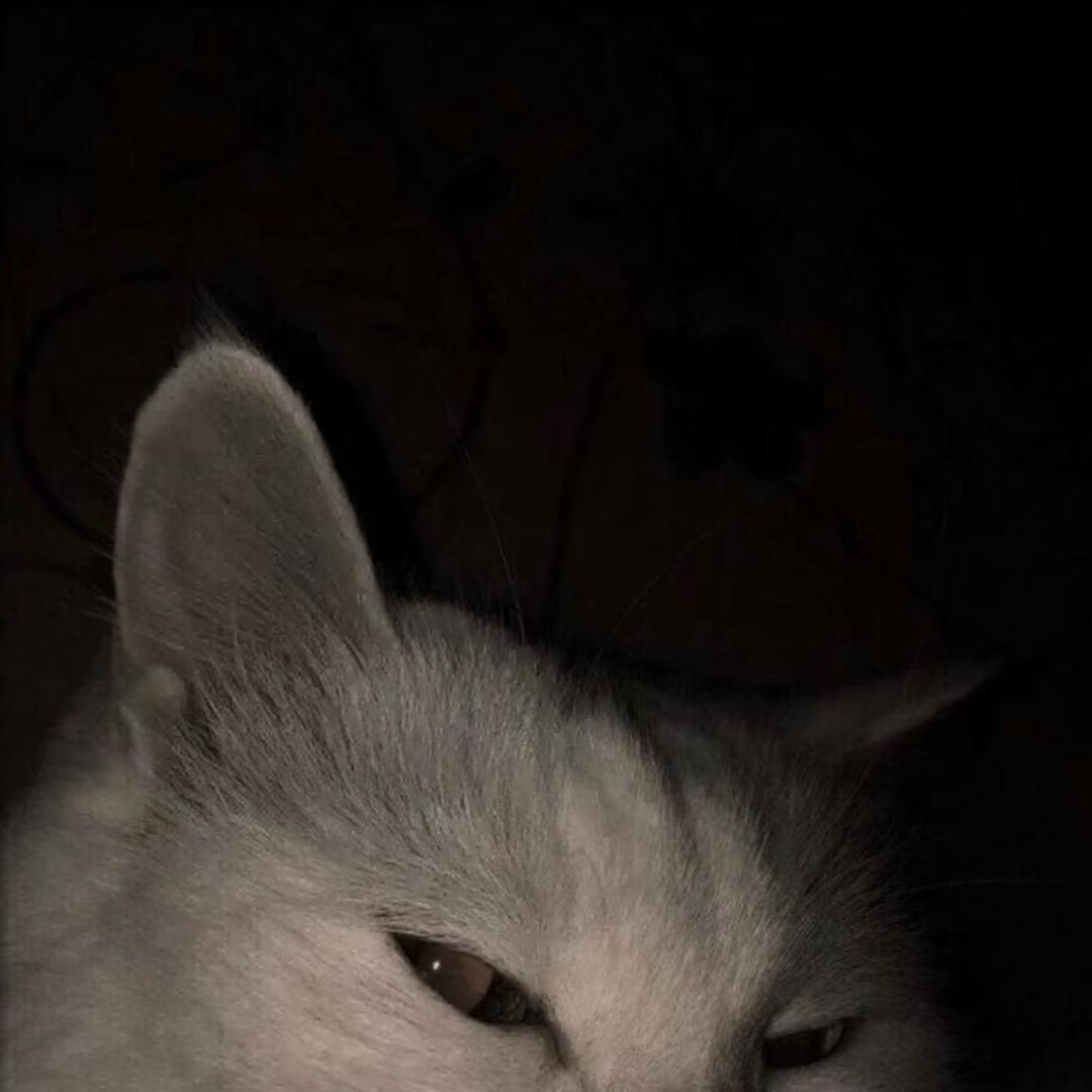 前任