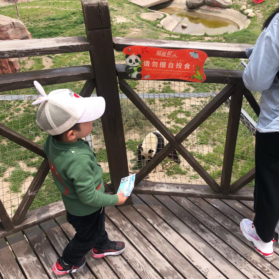 胖胖的小扣同学