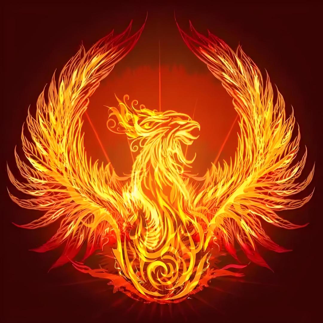 站在世界之外看世界