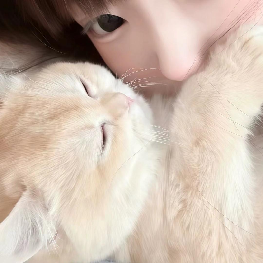 一拳打死星期一