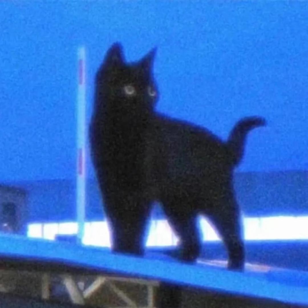 Cyanéen