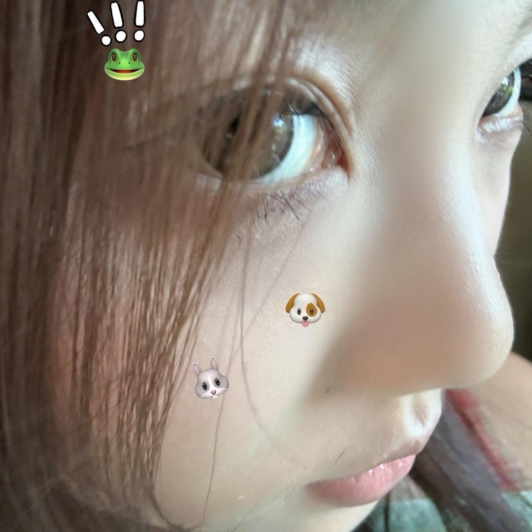 香菜大帅👀