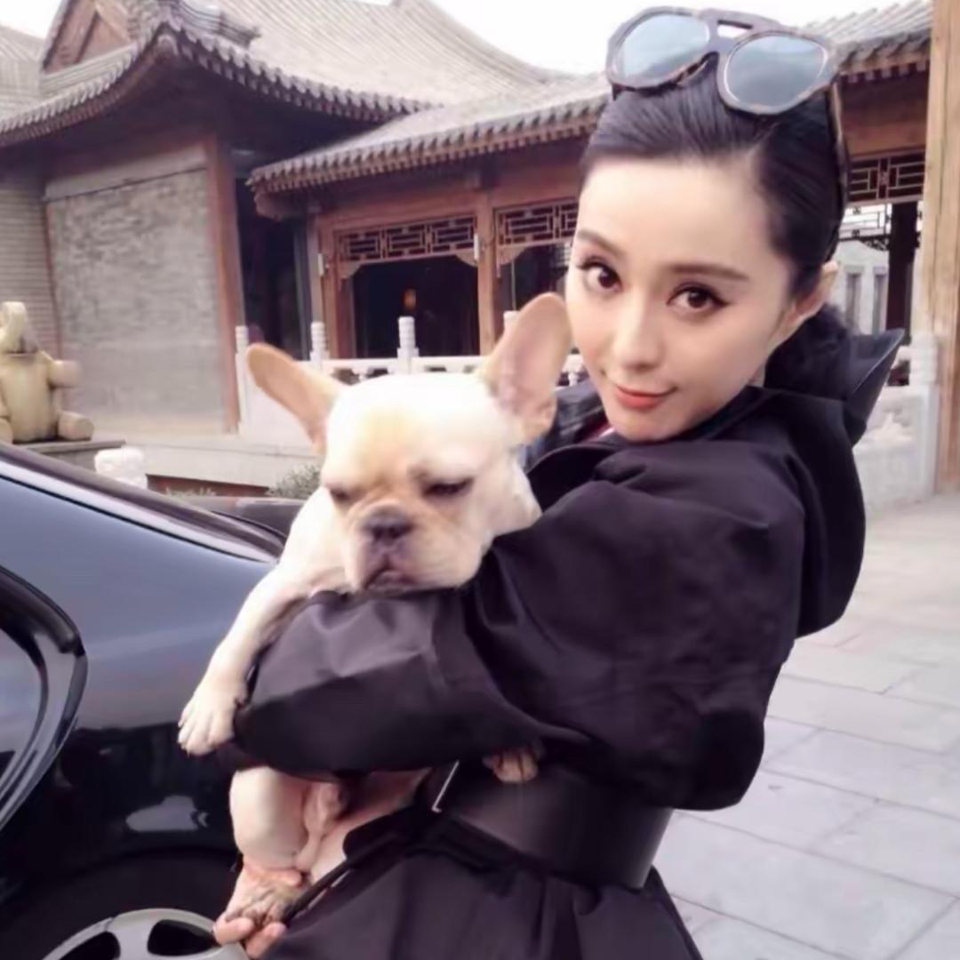 小象