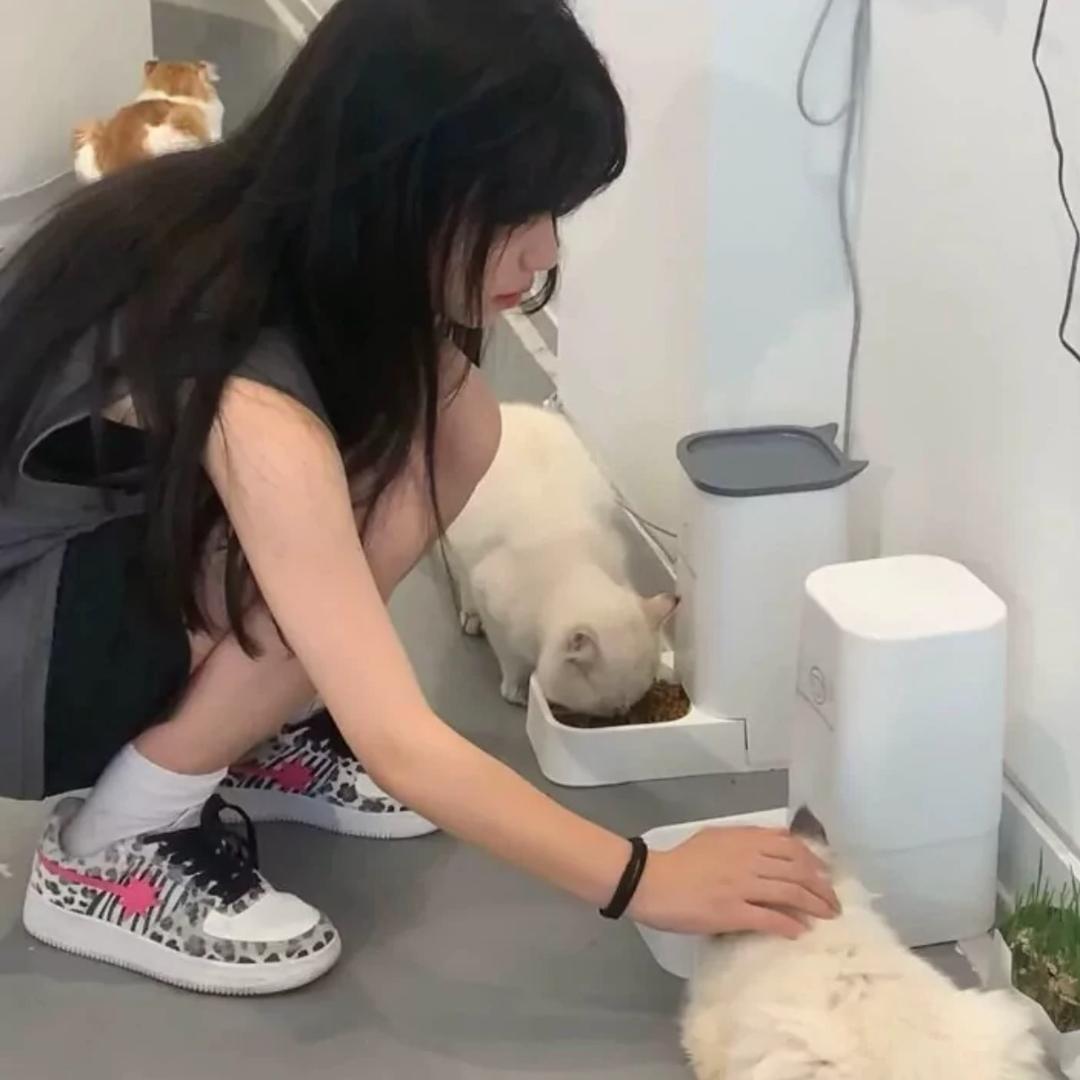 + 7