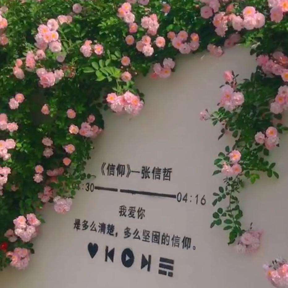 福利推荐官琳琳