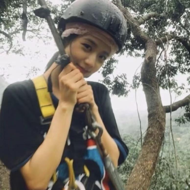 苹果柿子梨