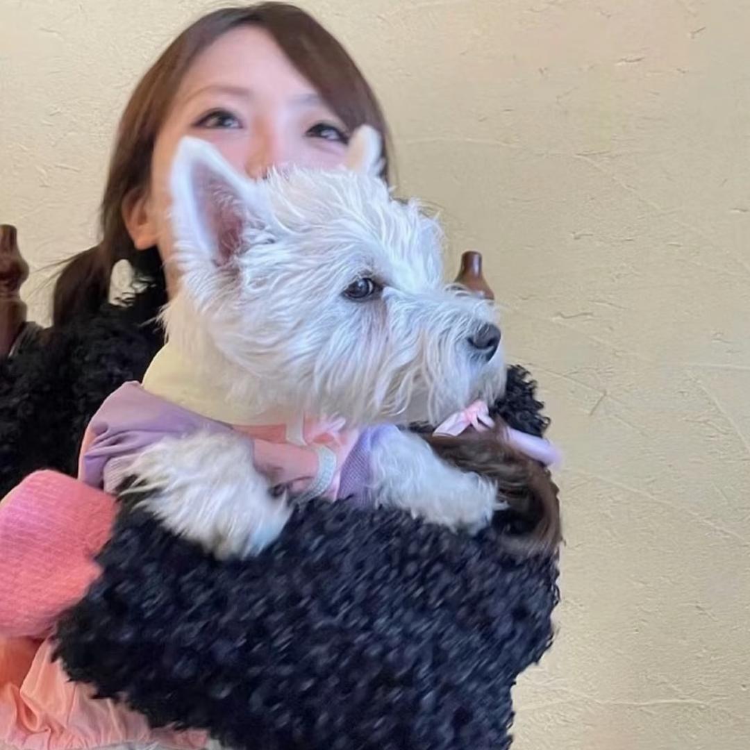 不爱吃芋泥