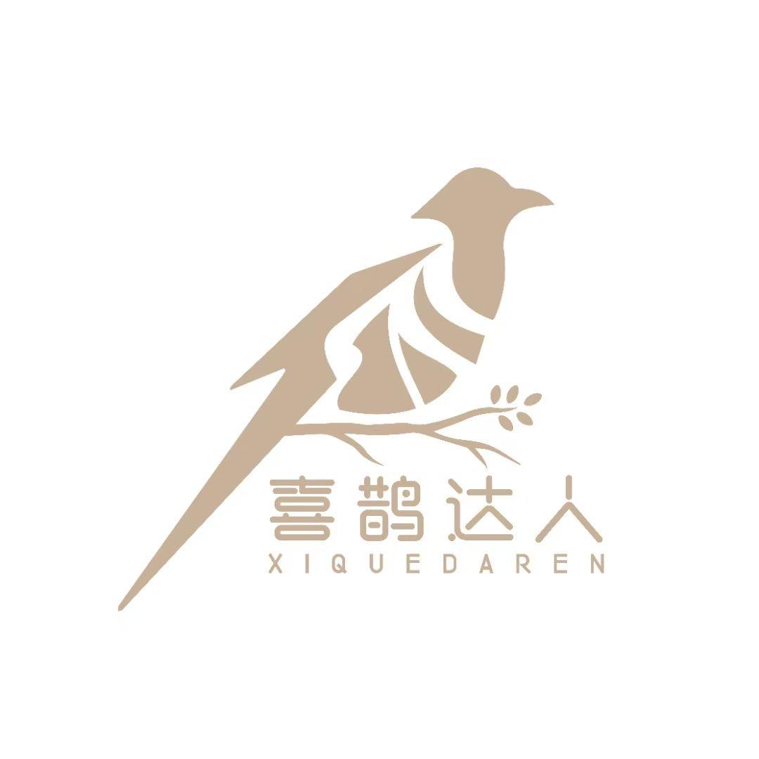 喜鹊达人