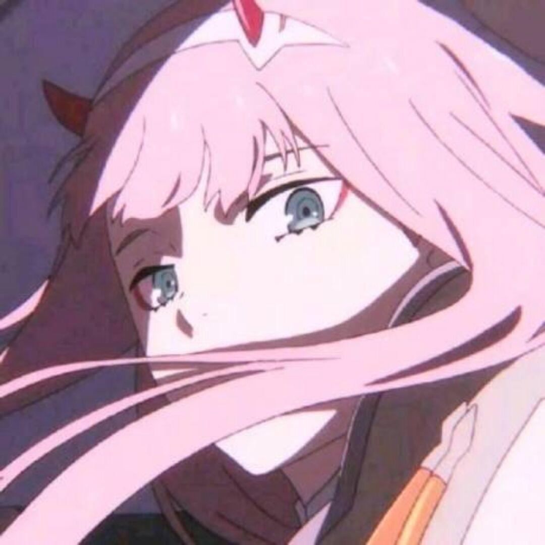 陈述