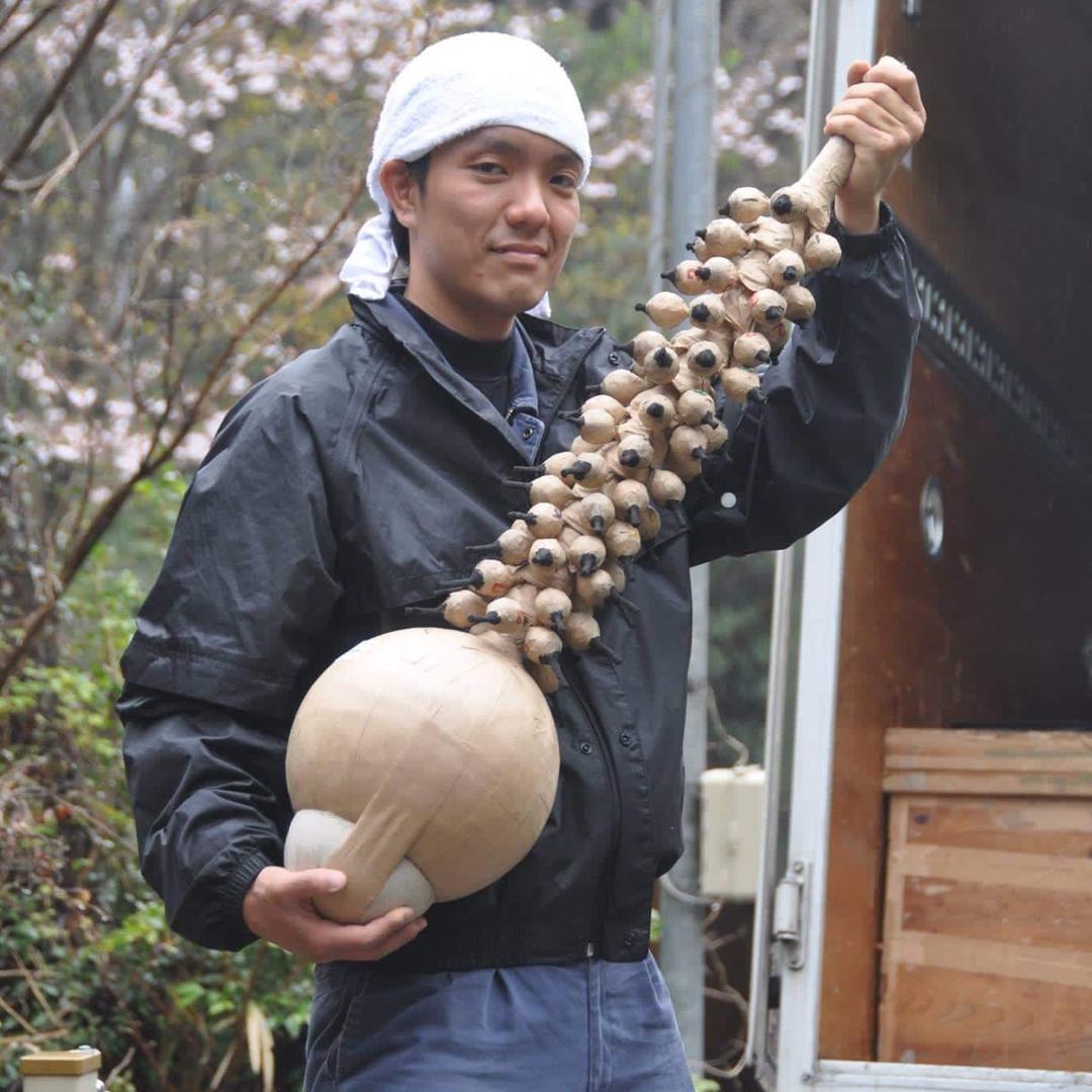 老表大呲花@抖音