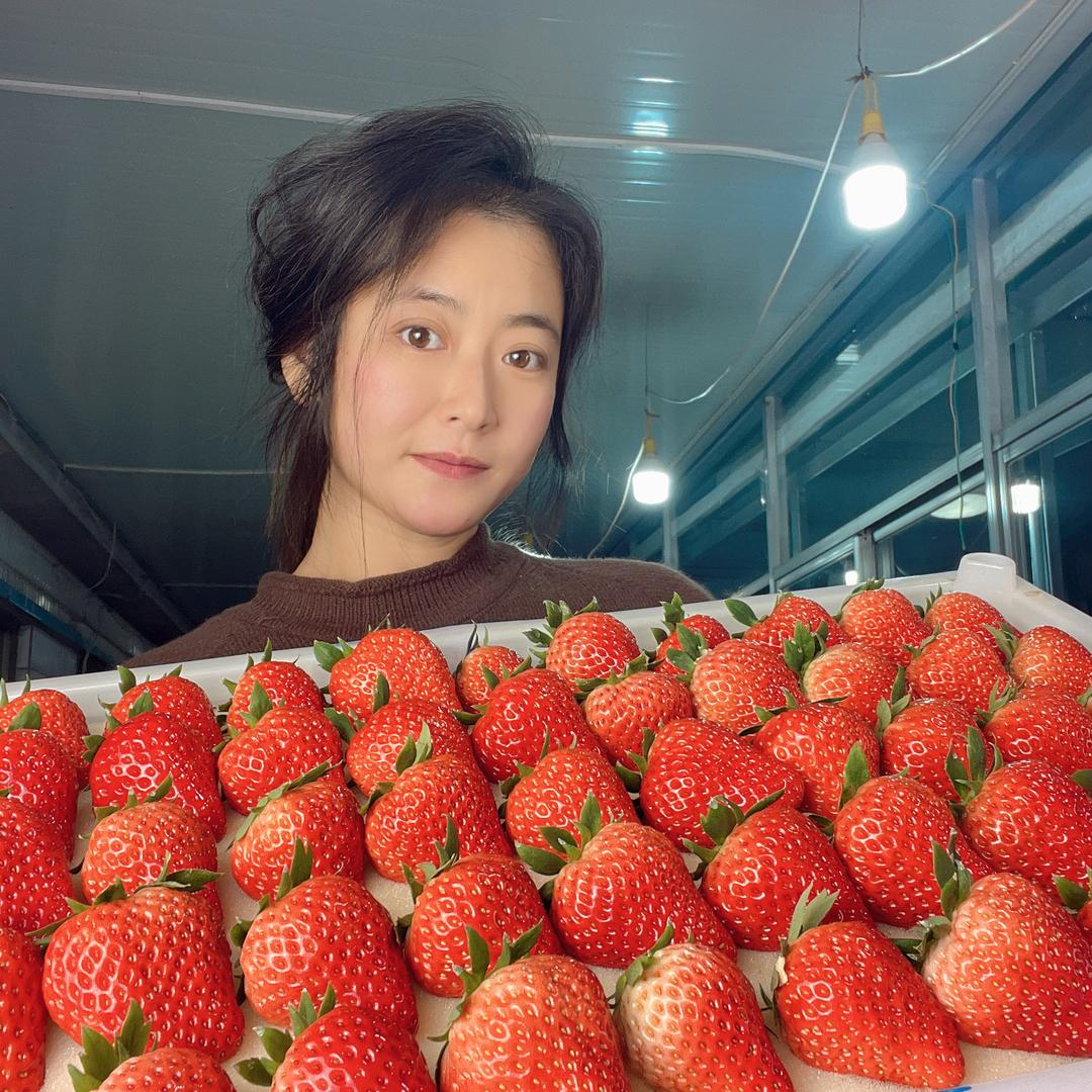 莓小姐{丹东九九草莓季}