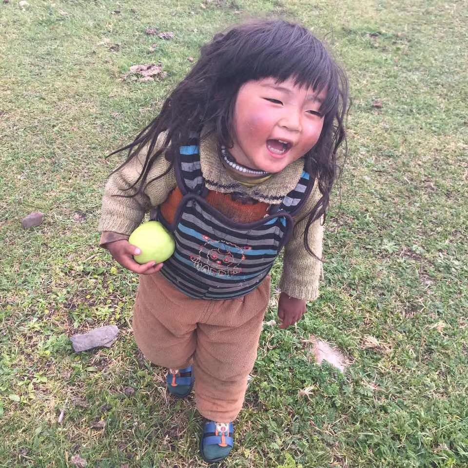 张不胖的生活日记