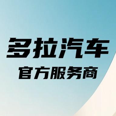 有方多拉大面汽车小柴