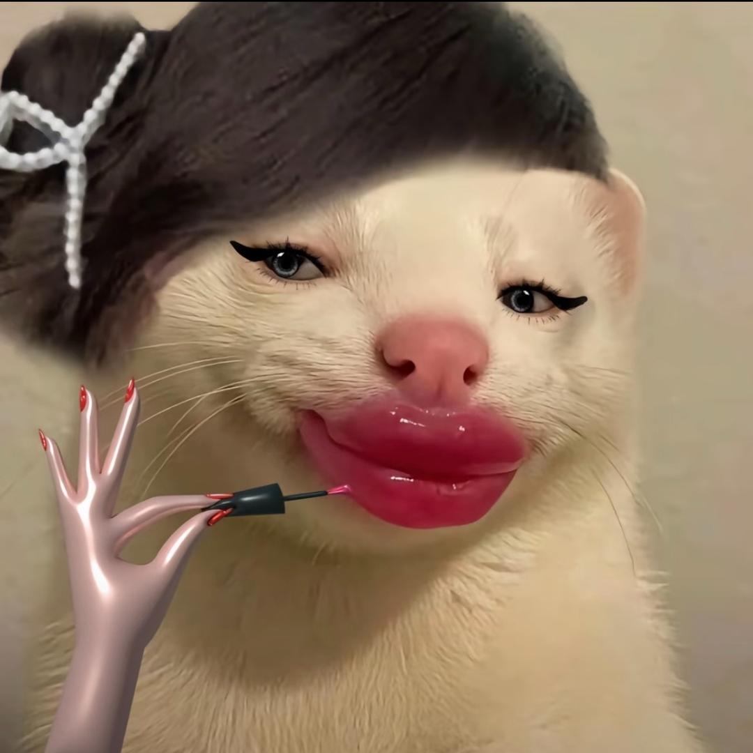 AAA厕所专业维修毛嫂