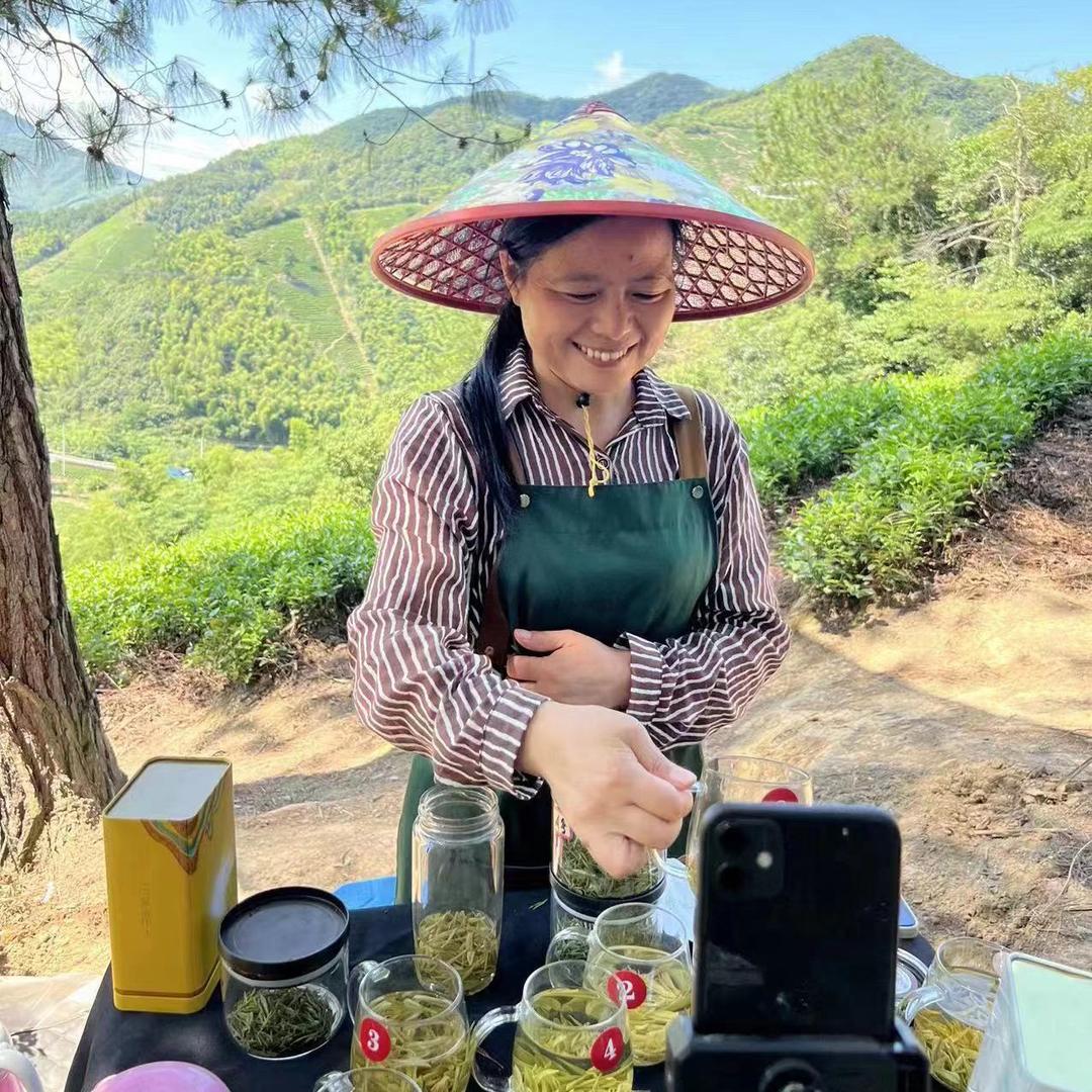 安吉潭山白茶