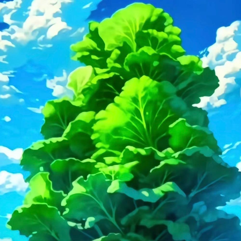 阳光美妈