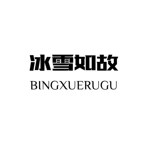 冰雪如故大码羽绒服