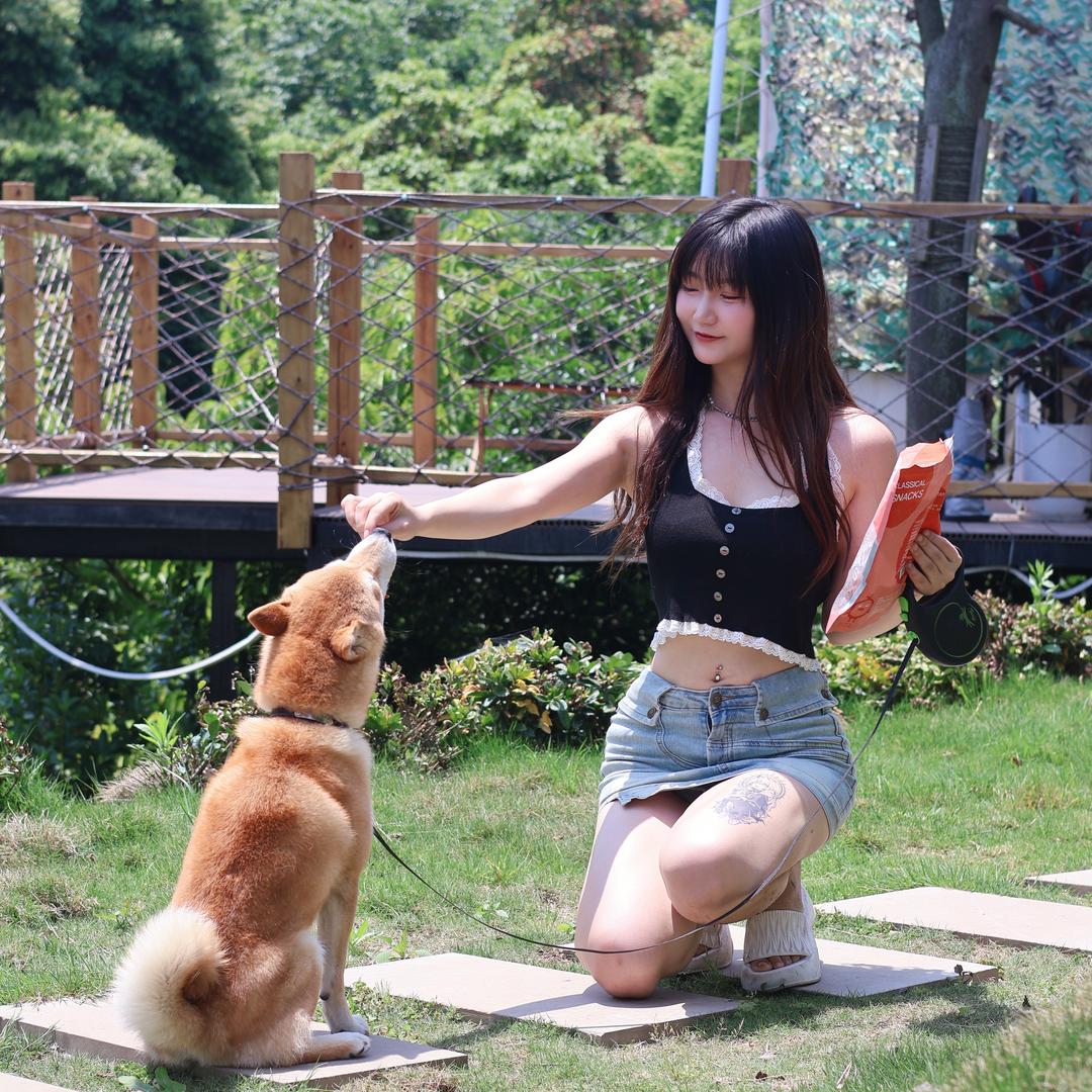 小鱼儿日常