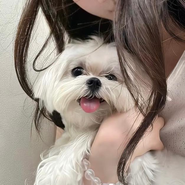 H、