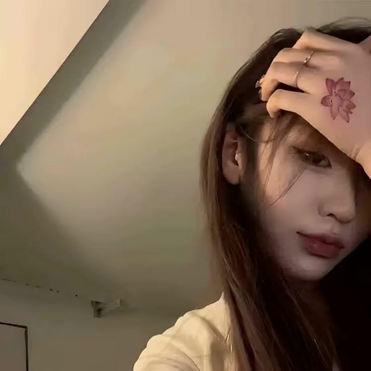 笨笨