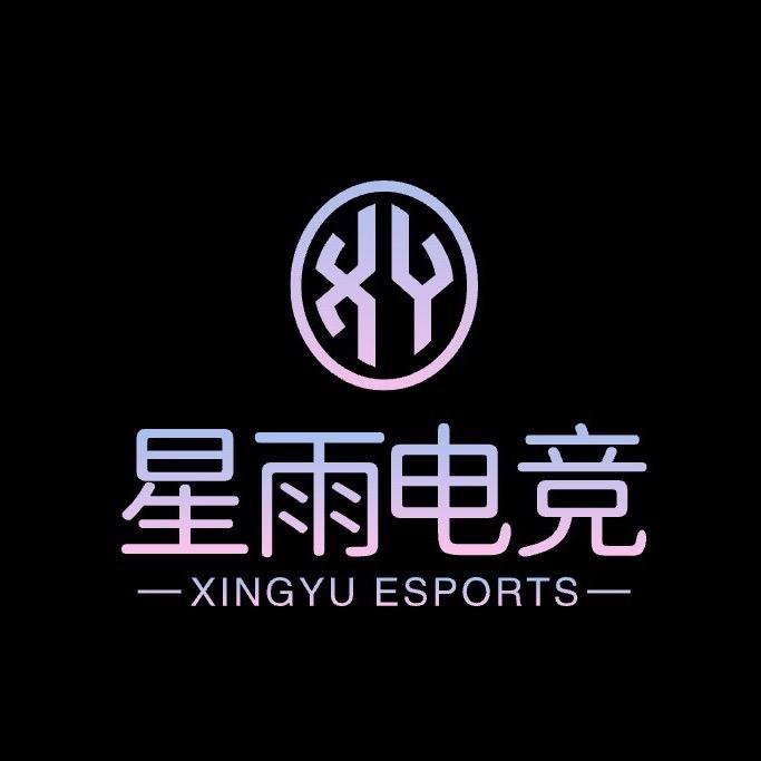 星雨电竞