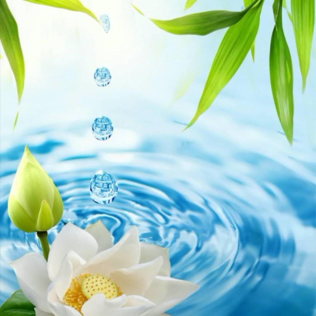 中财管道瑞成水暖