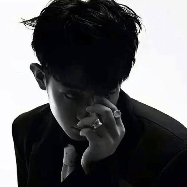 t                🕊️