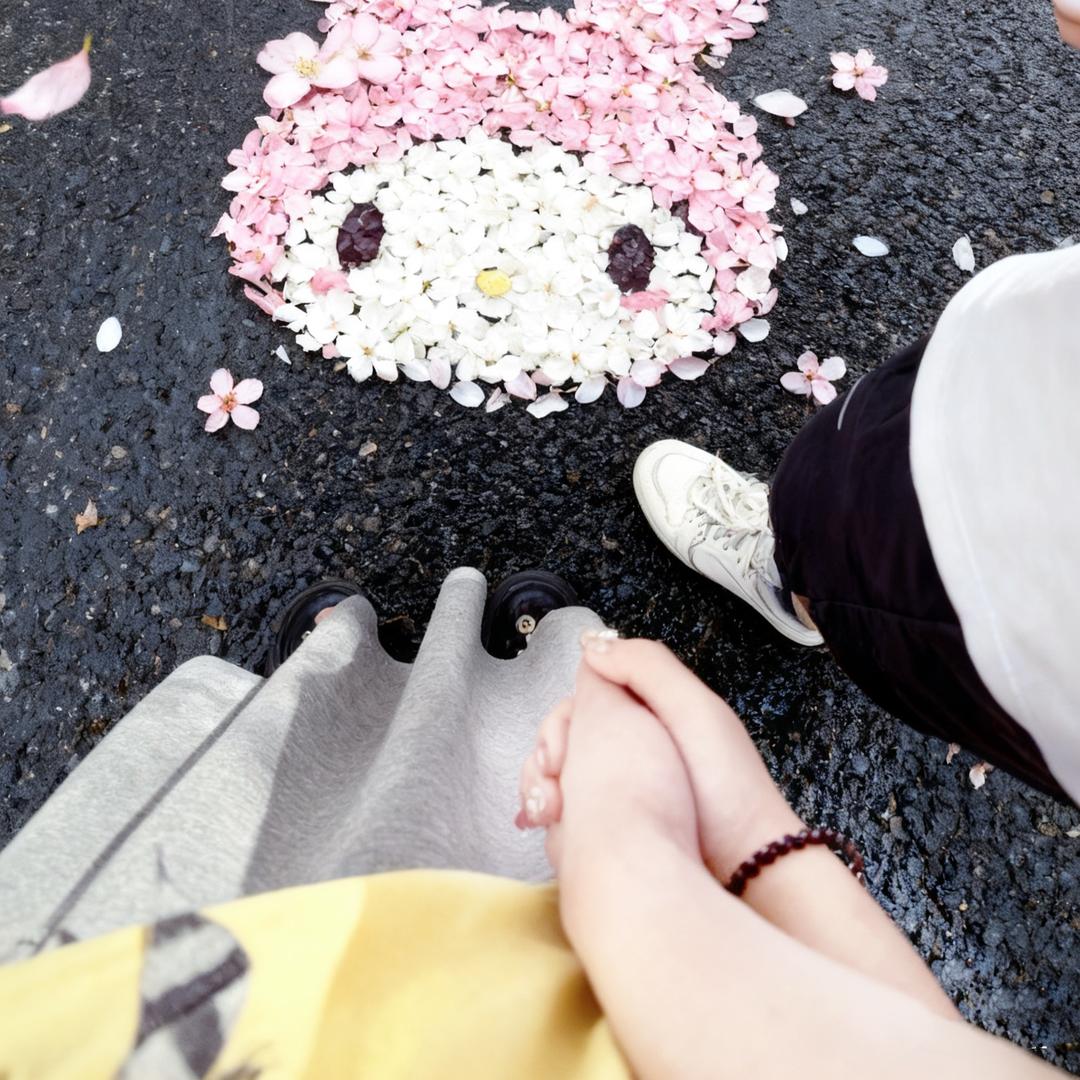 🍚🐱🐱