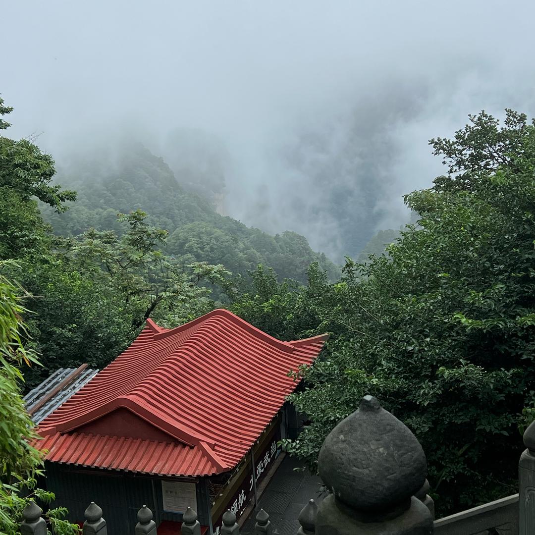 武