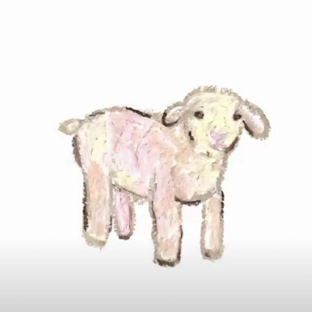 今天开心了吗🐋