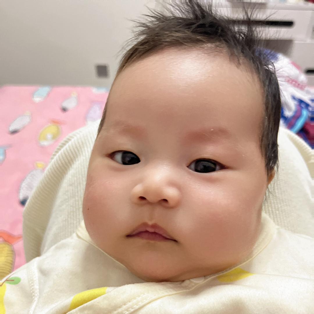 木木你哈