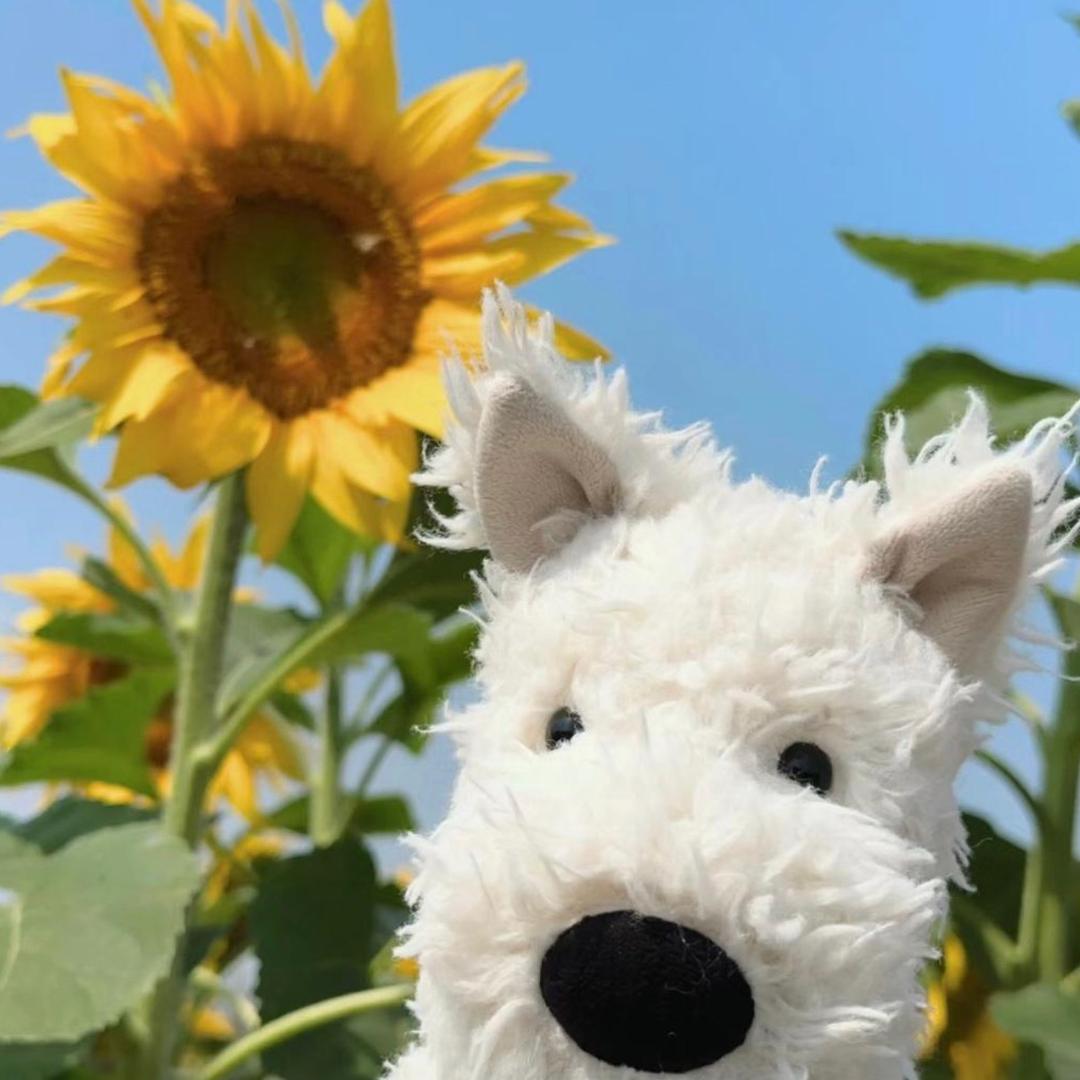 原来是陆11（见过林俊杰版