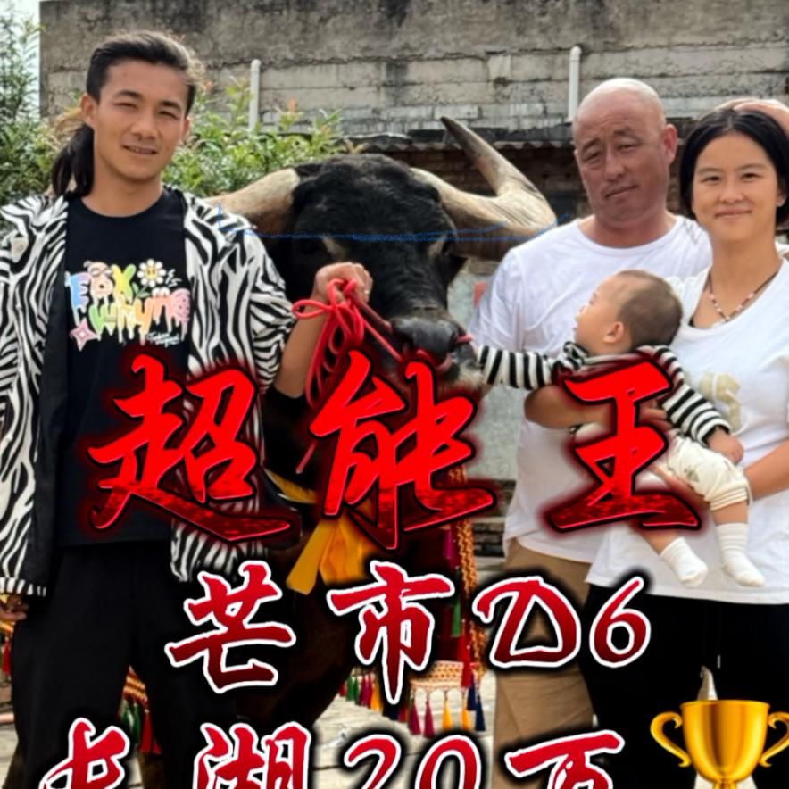 芒市 668 小杨养殖场