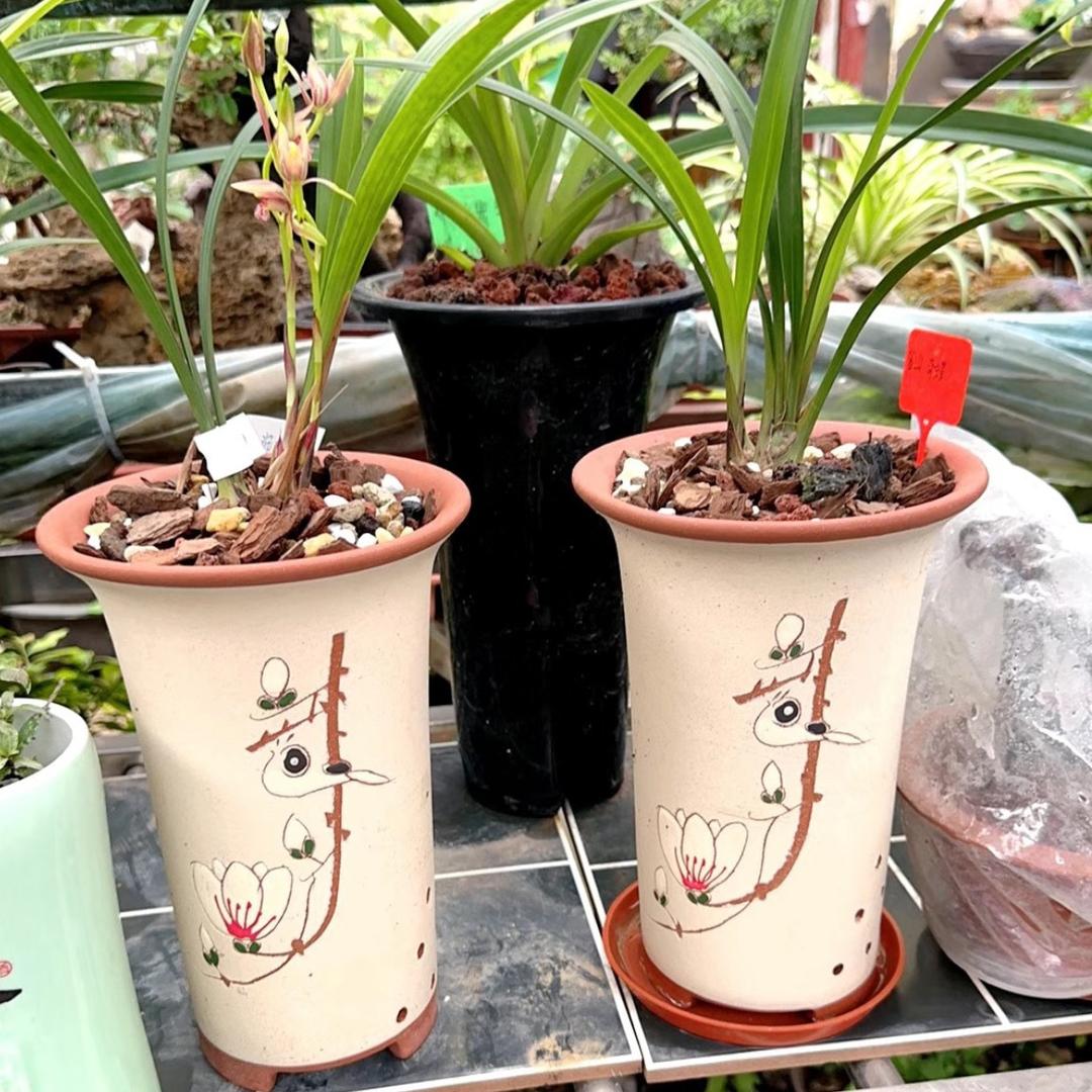 雅阁紫砂