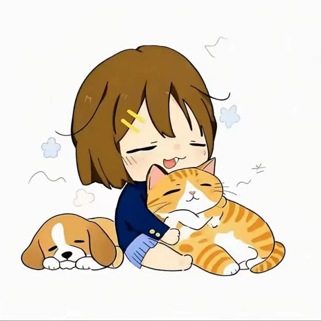 懒猫^*