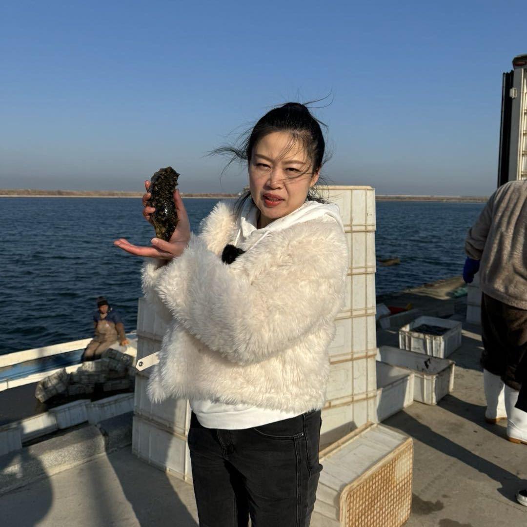 大连好参源国标海参批发