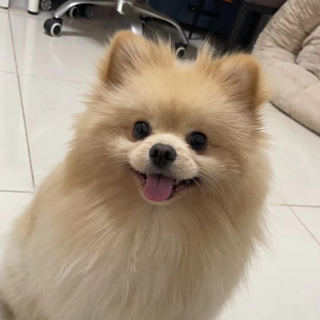 小鹿乱撞的心动♥(｡￫v￩｡)♥