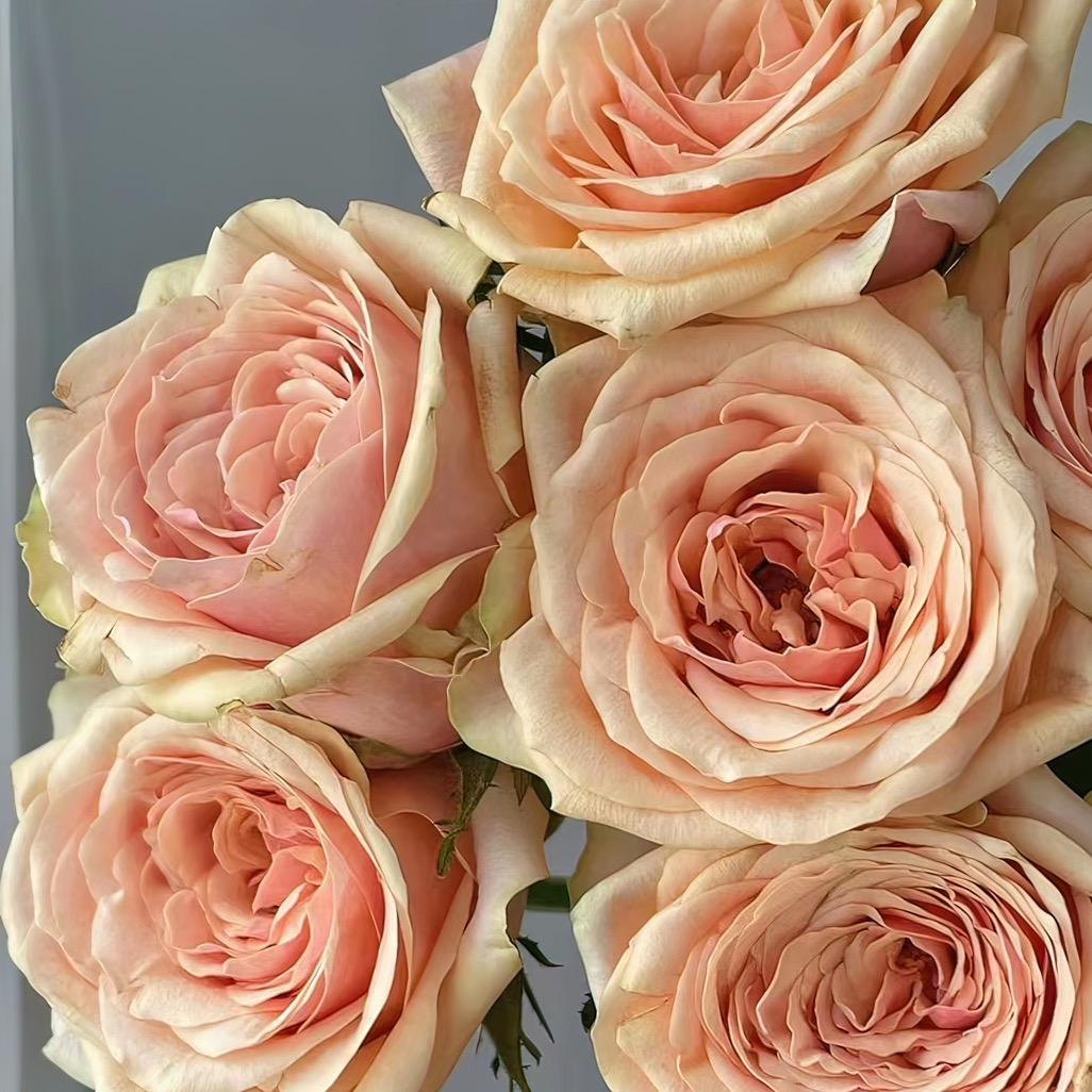 彼念花卉屋