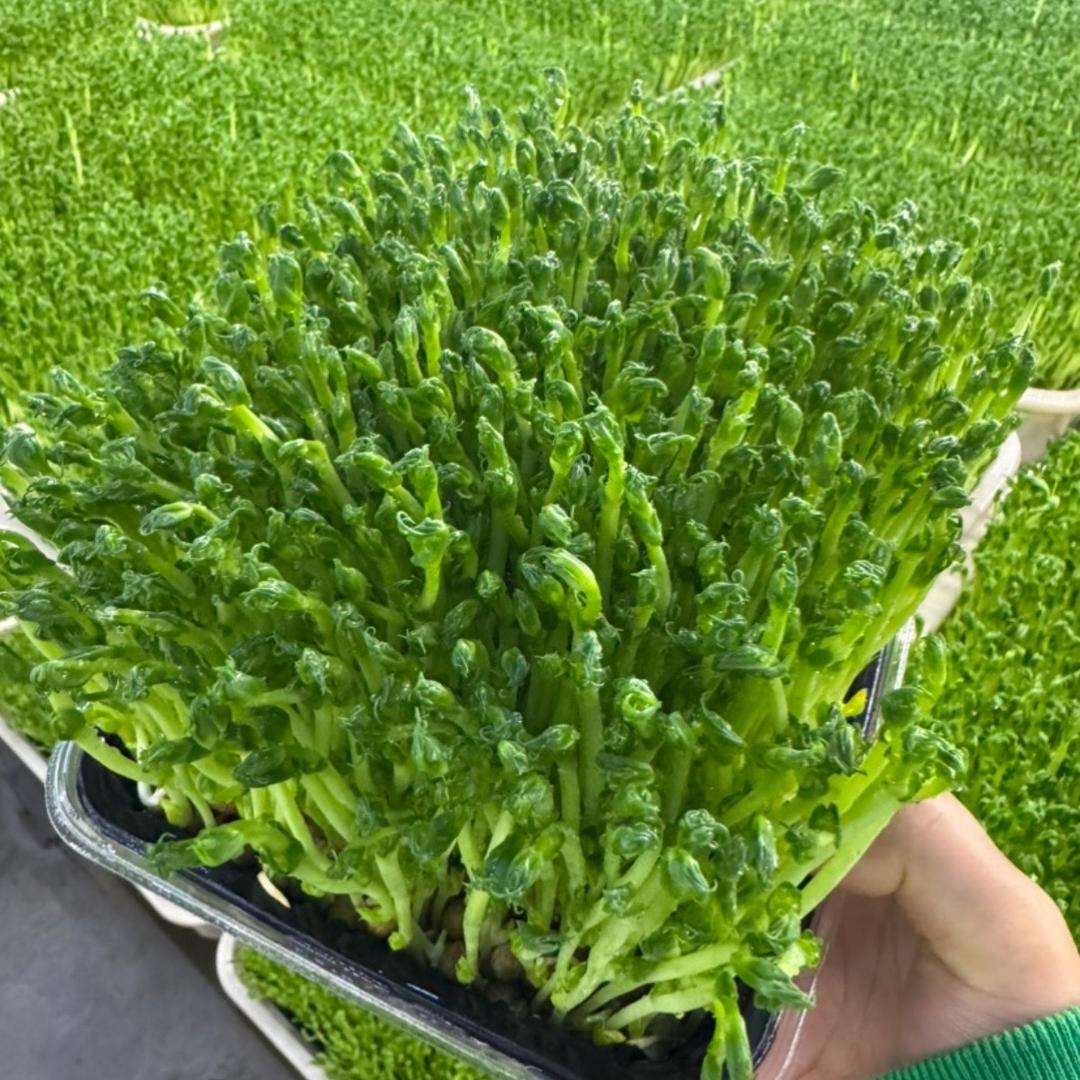 上海旺上旺生鲜 到家