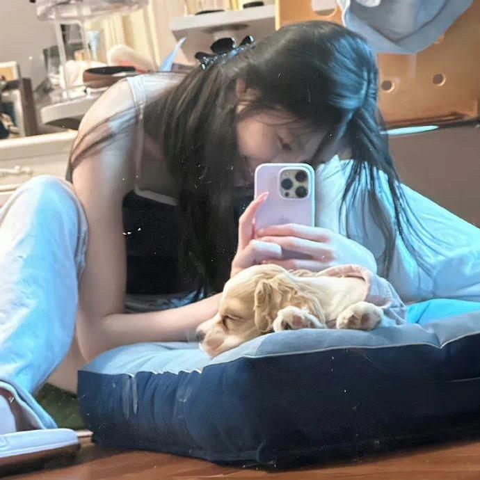 等于猫