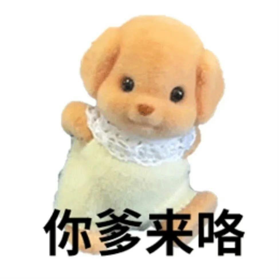 天天.