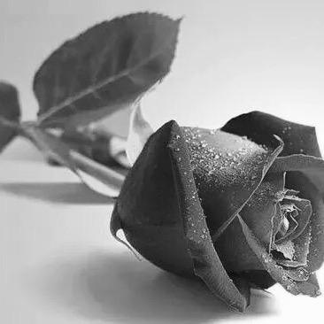 安好（ᵔᴥᵔ）