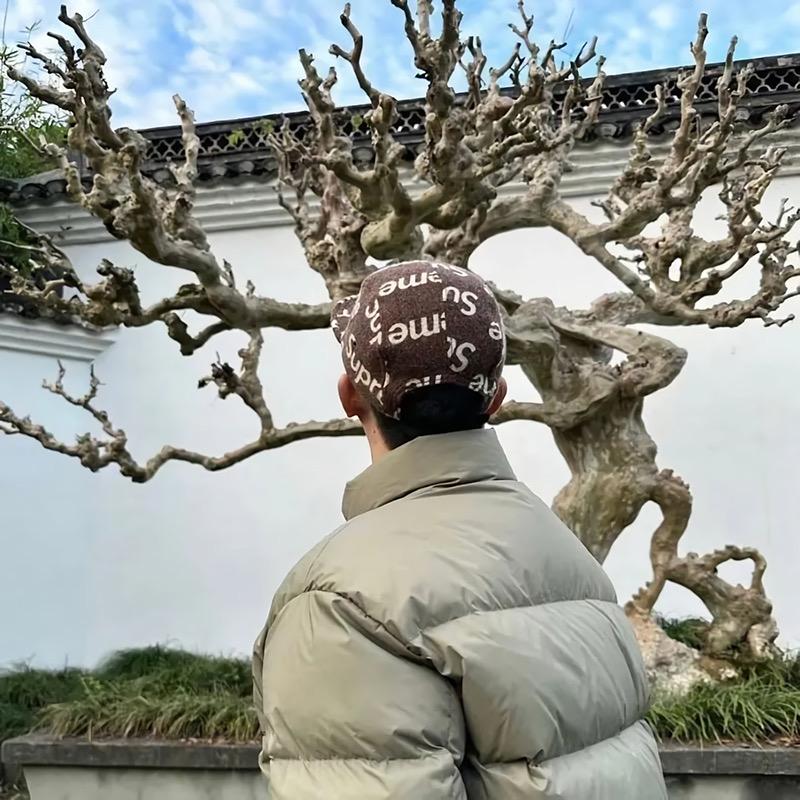 张晨旭