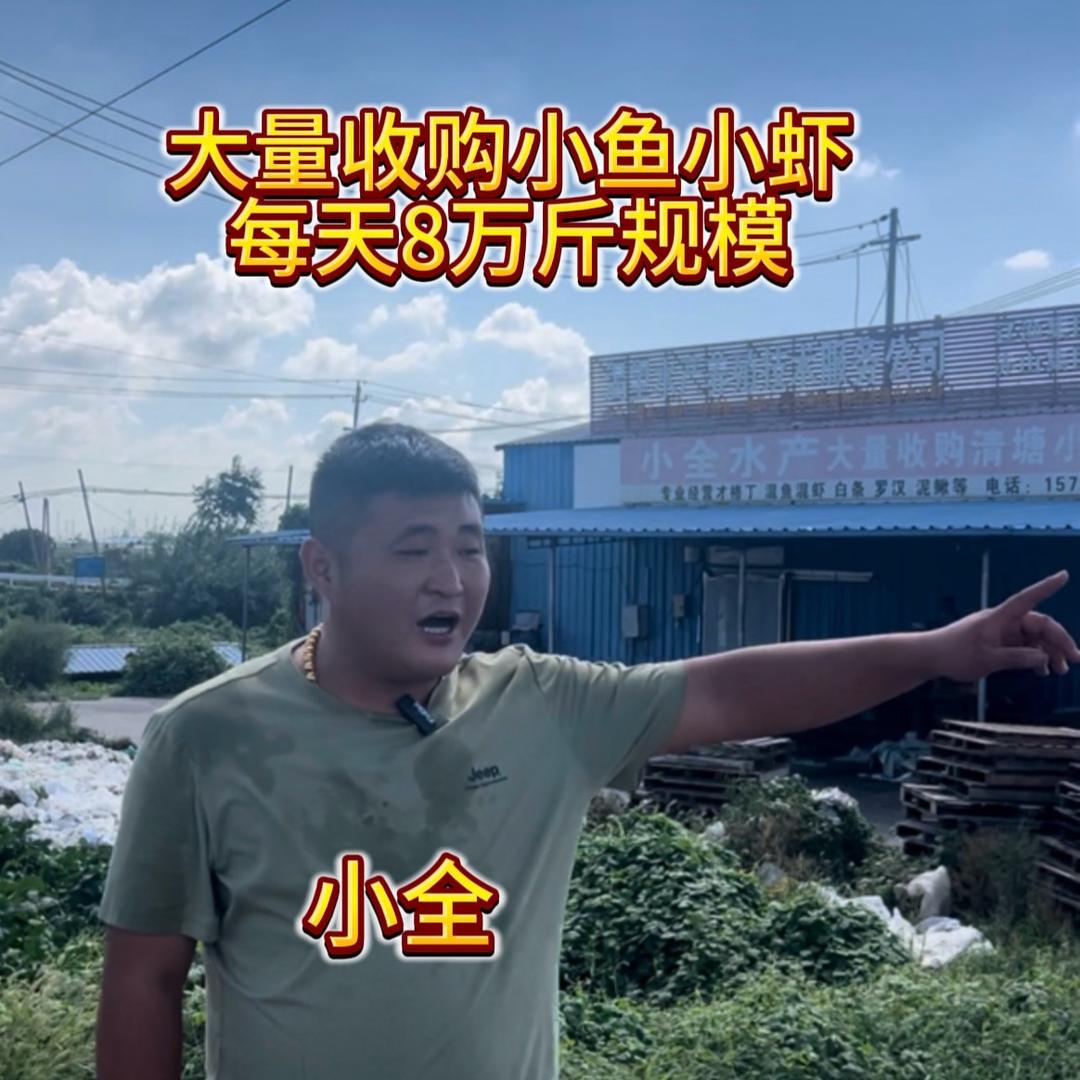 安丰专业收购清塘小鱼小虾的小全