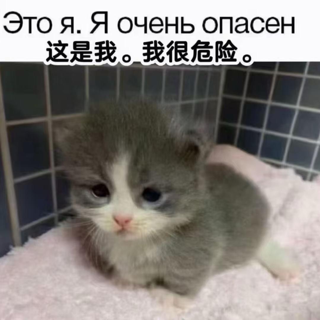 Coudat头像