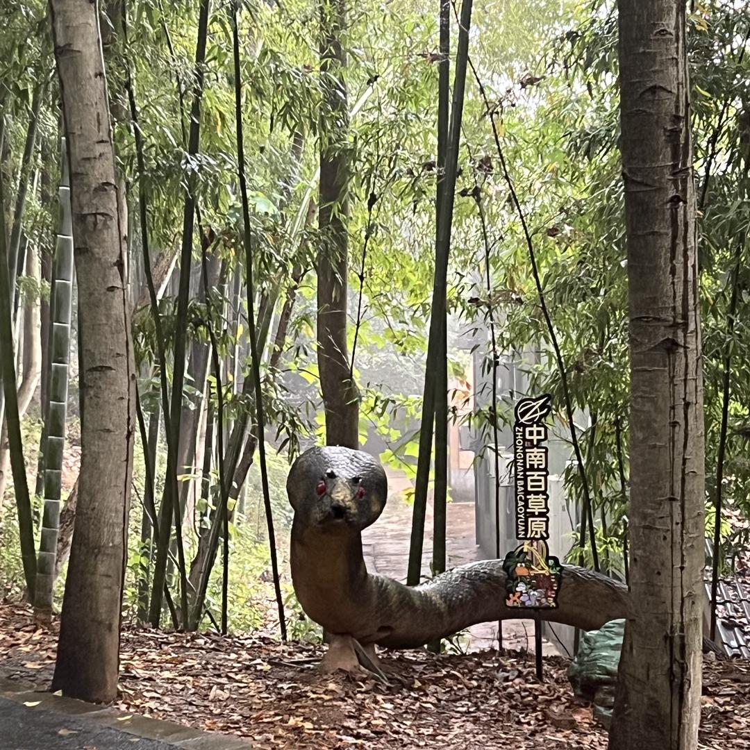 梓泓看蟒蛇