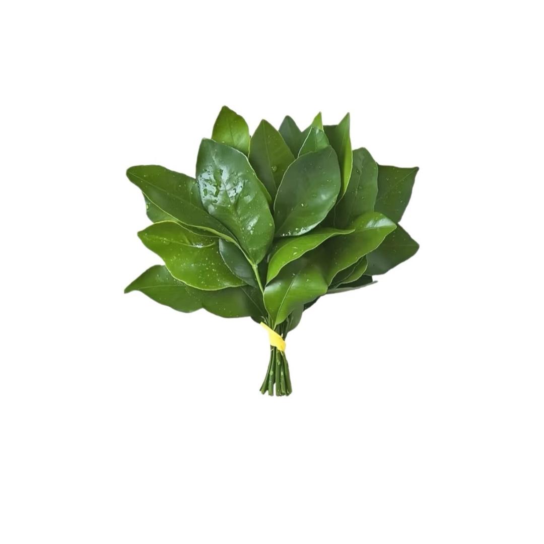 晶晶摔了一跤变成了晶晶酱