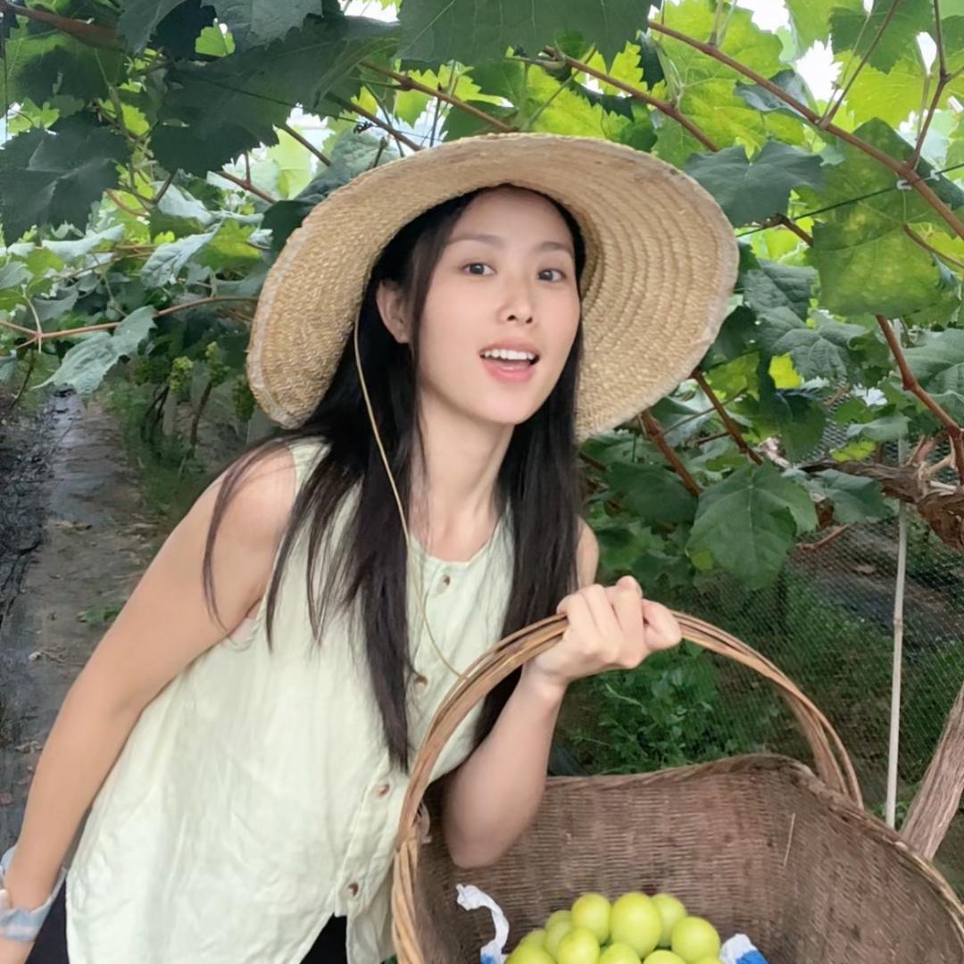 种葡萄的小君君
