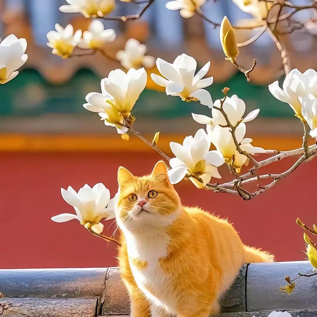 🌈多赚点💰💰💰